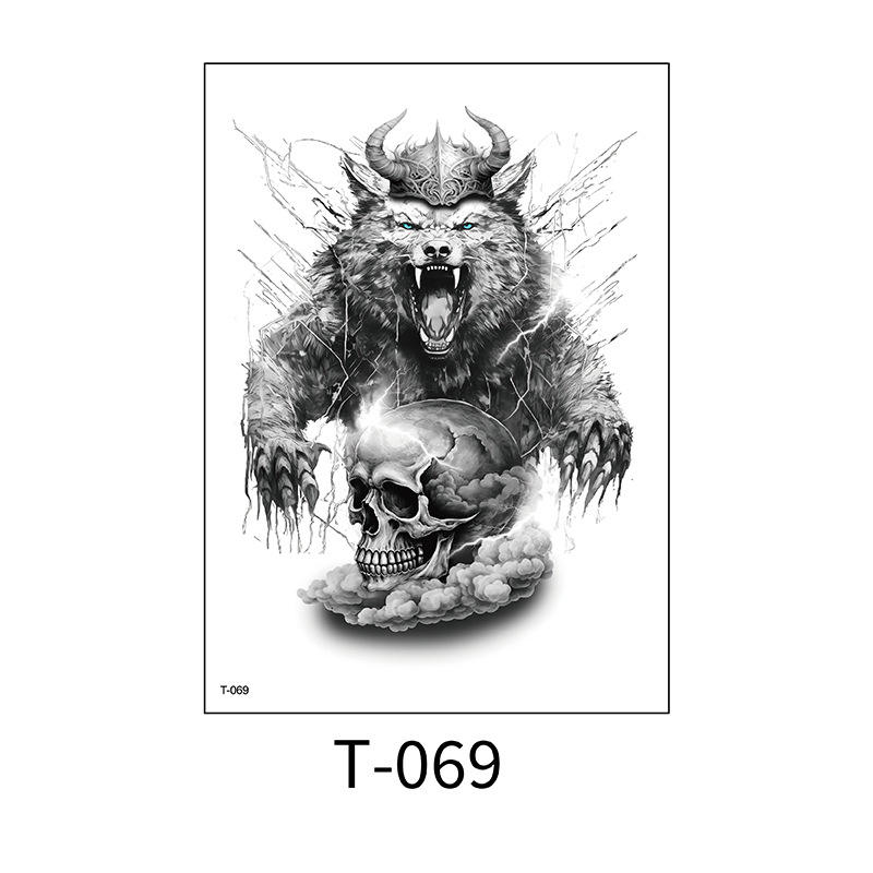 T-069