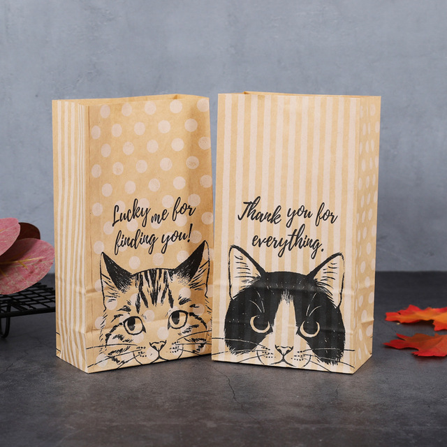 100% Compostable Biodegradable White Paper Brown Kraft Paper Bag Stand Up With Custom Printed Food Grade Pouches