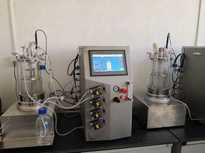 Biological Fermentor Algae Photo-<strong>bioreactor</strong> Ascorbic Acid <strong>Fermenter</strong> <strong>Bioreactor</strong> - Product Image 3