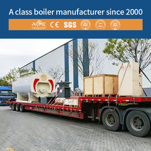 橡胶厂6吨洗衣房锅炉 - Product Image 4