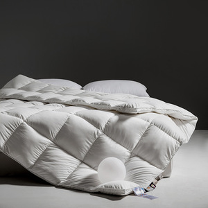 Có thể tùy chỉnh cao cấp 100% bông ngỗng xuống mùa đông ấm dày thoáng khí thân thiện với môi Trắng ngỗng xuống chăn Comforter - Product Image 2