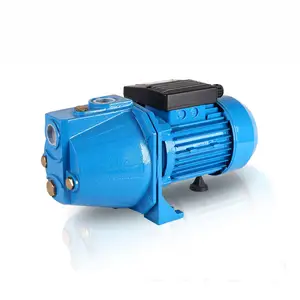 Pompa ad acqua Venturi elettrica ad alta pressione della pompa a getto 0.75hp di vendita calda per l'attrezzatura di supporto