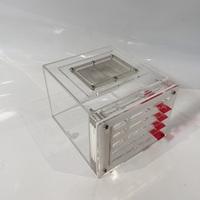 YAGELI Boîte d'élevage pyramidale en acrylique transparent personnalisée pour fourmis, nid vivant pratique, service professionnel, présentation uniquement