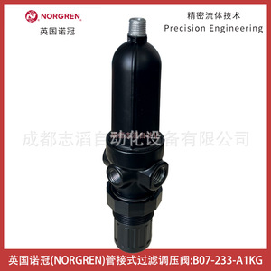 Filtre-régulateur Norgren à montage sur tuyau B07-233-A1KG 1/4 pouce, gaz pneumatique - Product Image 3