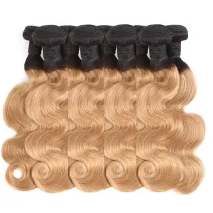 Beautysister Hair Products 11a Brazilian Virgin Hair Body Wave 2 Tone Ombre Color 1b/27 Remy Human Hair Extension Bundle