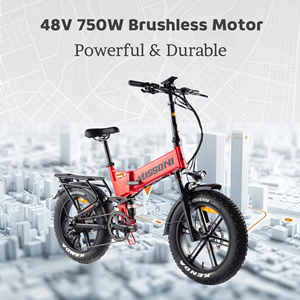 Vélo électrique à pneus larges 48V 750W 20 pouces 4.0 avec frein à disque hydraulique, tout-terrain, Ebike OEM, pour neige, plage, sable, adultes, EN15194 CE - Product Image 3