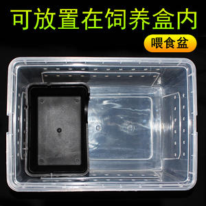 Juguete <span class=keywords><strong>de</strong></span> escondite <span class=keywords><strong>de</strong></span> reptiles pequeños <span class=keywords><strong>de</strong></span> plástico ecológico para Geckos, serpientes, lagartos <span class=keywords><strong>de</strong></span> <span class=keywords><strong>Ojos</strong></span> <span class=keywords><strong>de</strong></span> rana, arañas, escorpiones y ciempiés - Product Image 3