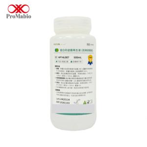 Solution de régénération de membrane pour blotting protéique, Tampon de décapage d'anticorps, Pureté normale, Réactifs de laboratoire 100ml/500ml 2-8°C pour - Product Image 1