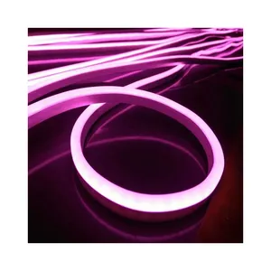 ייחודי עיצוב פרסום שלטי תצוגת גמיש Led ניאון רצועת אור