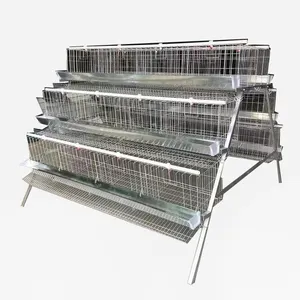 Ghana chicken farms Hens chicken coop layer cage for eggs