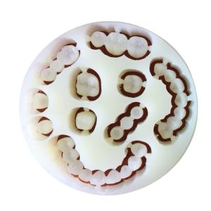 Disco <span class=keywords><strong>PMMA</strong></span> per dente temporaneo rosa doppio strato <span class=keywords><strong>PMMA</strong></span> blocchi di resina per laboratorio dentale materiali Mono multistrato per odontoiatria - Product Image 1