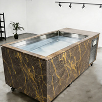 Refroidisseur de Bain de Glace en Acier Inoxydable de Haute Qualité, Écologique, pour Thérapie par le Froid, avec Stérilisation à l'Ozone WIFI Intelligente et Pompe à Vanne 1hp 2