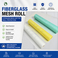 Materiale Edile: Rete in Fibra di Vetro AR 165gsm 4*4 per Rinforzo Pietra, Rotoli di Fibra per Intonacatura Muri, Steklosetka