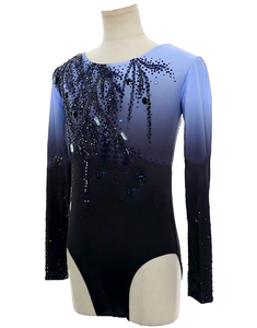 <span class=keywords><strong>Justaucorps</strong></span> de gymnastique à manches longues sur mesure en gros, respirant, pour femmes et hommes, tenue de danse rythmique, tenue de performance, costume de patinage sur glace - Product Image 2