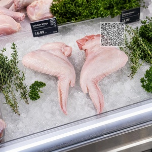Vitrina de Carnicería, Exhibidor de Carne para Mercado, Modelo Realista de Alimentos Crudos, Réplica de Alas de Pollo - Product Image 4