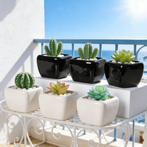 Mini pot carré en céramique noir et blanc MDJ pour plantes succulentes, avec trou de drainage, design minimaliste écologique, décoration de bureau à domicile, 0,3 kg - Product Image 4