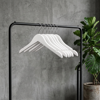 Nouveaux Cintres en Bois Personnalisés, Taille sur Mesure, Design Moderne de Haute Qualité, Crochet Métallique Durable, Multifonctionnels pour Boutiques de Vêtements