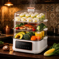 Cuisinière vapeur et à bouilloire 13L avec plateaux en acier inoxydable, cuve intérieure antiadhésive, 8 programmes intelligents, minuterie 24h et maintien au chaud 8h