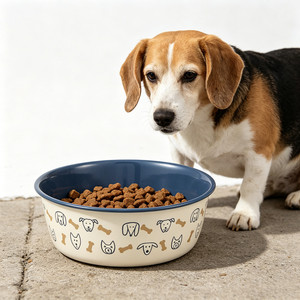 Vente en gros de vaisselle émaillée 18 cm OEM ODM avec logo personnalisé, durable, résistante au four, de forme ronde, gamelle <span class=keywords><strong>pour</strong></span> animaux de compagnie, chiots et chiens - Product Image 1