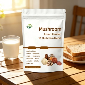 Wholesale 10-Mushroom Extract <b>Powder</b>, Organic <b>Body</b> Mushroom Blend Featuring Superfood Adaptogenic - Product Image 4