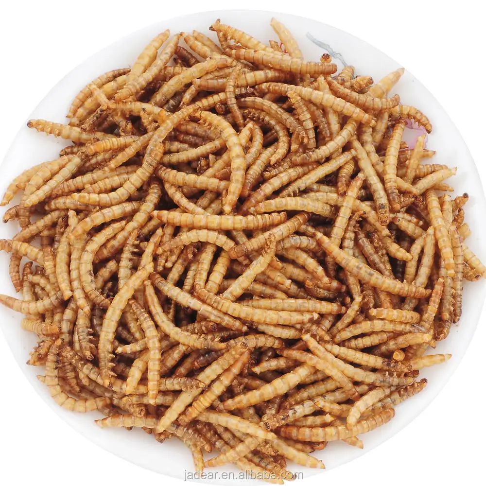 whole sale dried mealworms pet food dry food for rabbit hamster