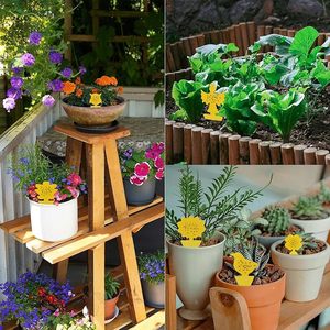 Trampa Adhesiva Amarilla para Insectos, de Doble Cara, con Forma de Flor, para <span class=keywords><strong>Moscas</strong></span> e Insectos - Product Image 4