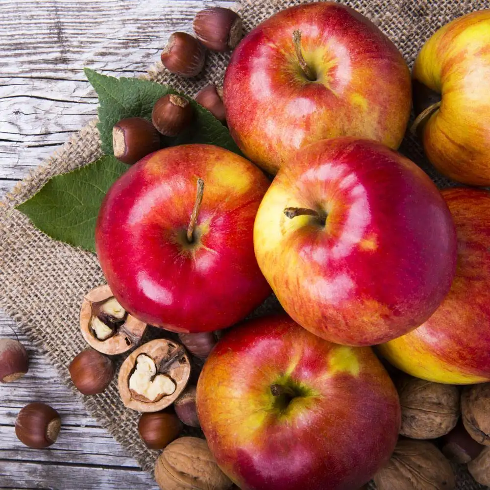 Bio reines natürliches Apfel frucht pulver Saft konzentrat Pulver Apfelsc halen extrakt