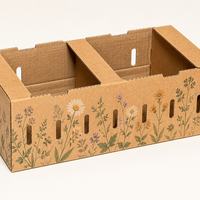 Caisse à fruits en carton ondulé conforme à la norme PPWR de l'UE, 100% recyclable, en papier kraft, boîte pour produits frais avec fentes de ventilation