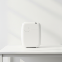 Diffuseur d'arômes intelligent électrique pour hôtel, en plastique, avec contrôle par application, machine à parfum, air frais, vente chaude