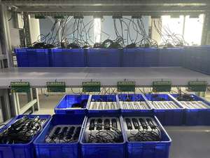 बॉयलर फीडवॉटर के लिए उच्च परिशुद्धता ओम अनुकूलन योग्य विघटित ऑक्सीजन विश्लेषक - Product Image 3