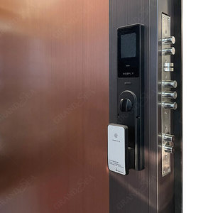 <span class=keywords><strong>Puerta</strong></span> Exterior de Acero de Alta Calidad, Lámina de Acero Elegante con Cerradura Oculta, <span class=keywords><strong>Puerta</strong></span> de <span class=keywords><strong>Seguridad</strong></span> para Apartamentos y Villas - Product Image 5