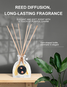 Difusor de Aroma <span class=keywords><strong>Chance</strong></span> Tender para Habitaciones, Fragancia para el Hogar, Aromas Naturales Elegantes, Aromaterapia de Larga Duración, Ecológico, de Lujo - Product Image 3