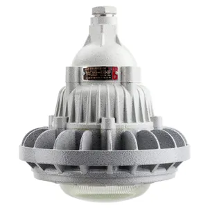 Shen Hai 30W LED Explosion Proof Lamp Explosion Proof Drop Light For Gas Station ATEX Lighting For Zone 1 And 2 Oil Refining