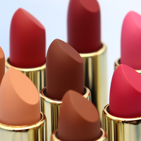 Rouge à lèvres mat vegan sans cruauté, imperméable, de marque privée, tube à poussoir de luxe, 14 teintes, rouge à lèvres solide, formule minérale