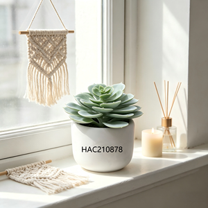 Mini <span class=keywords><strong>Planta</strong></span> <span class=keywords><strong>de</strong></span> <span class=keywords><strong>Echeveria</strong></span> Flocada Artificial en Maceta <span class=keywords><strong>de</strong></span> Cemento Blanco, <span class=keywords><strong>Planta</strong></span> <span class=keywords><strong>de</strong></span> <span class=keywords><strong>Echeveria</strong></span> Artificial para Escritorio <span class=keywords><strong>de</strong></span> Oficina - Product Image 1