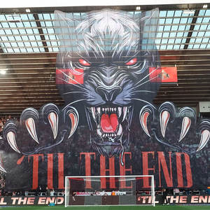 Bandiera Tifo per Concerti TongJie, Motivo Personalizzato, Leggera, Facile da Montare, Spedizione Gratuita - Product Image 3