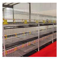 Cage d'Élevage Type A Type H pour Poussins et Poulettes de 1 Jour, Capacité de 10 000 Oiseaux
