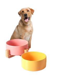 Üretici toptan bambu standı ile evcil hayvan kaseleri seramik köpek kedi kase çanak gıda ve su besleyici için - Product Image 2