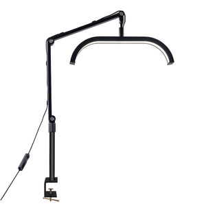 Lampe de bureau LED à <span class=keywords><strong>pince</strong></span> <span class=keywords><strong>en</strong></span> C pour manucure professionnelle, éclairage de table avec bras réglable 20W, intensité variable pour salon de manucure - Product Image 2