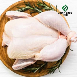 <span class=keywords><strong>Pollo</strong></span> <span class=keywords><strong>Entero</strong></span> Halal Congelado, <span class=keywords><strong>Precio</strong></span> Bajo, <span class=keywords><strong>Precio</strong></span> Competitivo, Alta Calidad, Sacrificado a Mano - Product Image 2