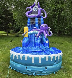 Jellyfish Inflatable <strong>Slide</strong> Cheap Price New Inflatable Water <strong>Slide</strong> <strong>Indoor</strong> <strong>Slide</strong> for Kids Inflatable Pool with <strong>Slide</strong> - Product Image 4