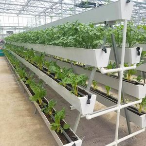 <span class=keywords><strong>Canalone</strong></span> idroponico verticale della serra per <span class=keywords><strong>il</strong></span> sistema di coltivazione idroponico della fragola - Product Image 1