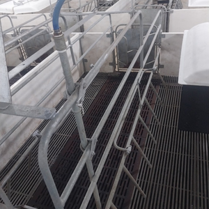 Good Quality Pigsty Farrowing <b>Crate</b> at Good Price Stainless Steel From Vietnam Manufacturer Top Sale Good Farrowing for Pig - Product Image 2