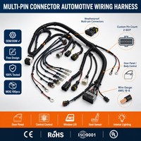 Conector Multipin, Arnés de Cableado Automotriz, Conjunto de Cables Personalizado para Panel de Puerta