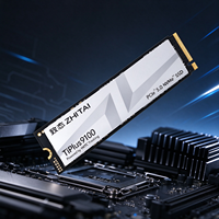 ZHITAI TiPlus9100 PCIe 5.0 NVMe SSD Performa Ultra-Cepat / M.2 2280 / 1TB 2TB 4TB