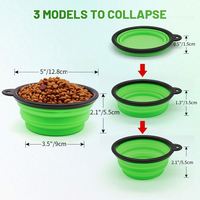 Bol pliable en silicone écologique pour animaux de compagnie, bouteilles d'eau pliables colorées pour chiens, conteneur portable pour nourriture et eau pour chats