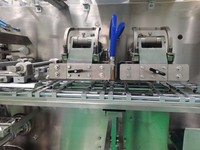 Machine d'emballage horizontale préfabriquée pour sachets duplex 60-80 ppm, remplisseuse et scelleuse de sachets à bec verseur