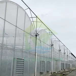 Tahan angin komersial struktur bingkai galvanis celup panas Film plastik PE untuk menanam rumah kaca tanaman pertanian
