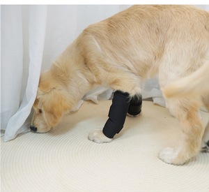 Soporte Auxiliar para Patas <span class=keywords><strong>de</strong></span> Perros Mayores, Envoltura para Patas Caninas, Protector <span class=keywords><strong>de</strong></span> Patas Delanteras para Perros, Soporte para Codos <span class=keywords><strong>de</strong></span> Perros, Estabilizador <span class=keywords><strong>de</strong></span> Articulaciones - Product Image 1