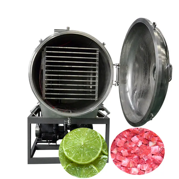 commercial freeze drying machine sublimation condensation dryer vacuum freeze dryer for fruits vegetables